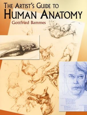 The Artist's Guide to Human Anatomy by Bammes, Gottfried