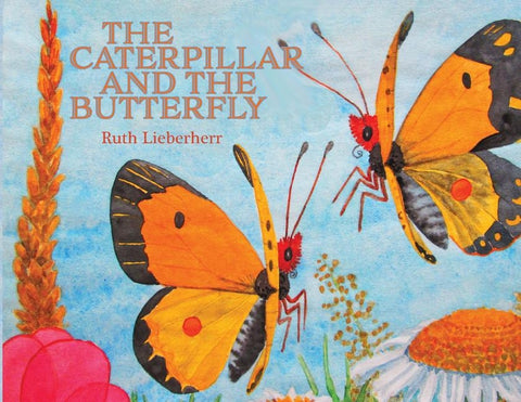 The Caterpillar and the Butterfly by Lieberherr, Ruth