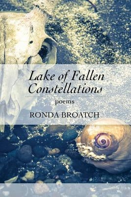 Lake of Fallen Constellations by Broatch, Ronda