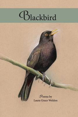 Blackbird: poems by Weldon, Laura