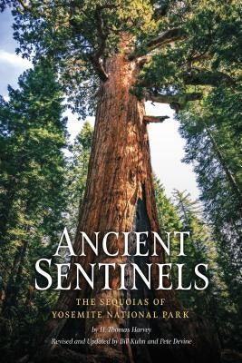 Ancient Sentinels: The Sequoias of Yosemite National Park by Harvey, Thomas