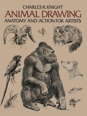 Animal Drawing: Its Origins, Ancient Forms and Modern Usage by Knight, Charles