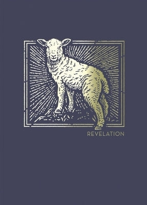 Net Abide Bible Journal - Revelation, Paperback, Comfort Print: Holy Bible by Taylor University Center for Scripture E
