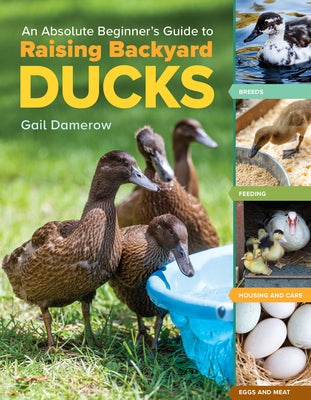 An Absolute Beginner's Guide to Raising Backyard Ducks: Breeds, Feeding, Housing and Care, Eggs and Meat by Damerow, Gail