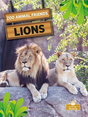 Lions by Culliford, Amy