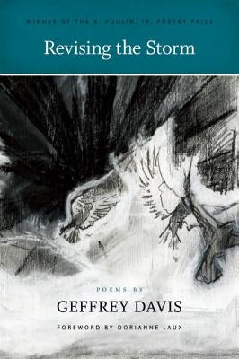 Revising the Storm by Davis, Geffrey