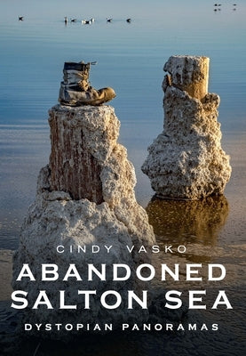 Abandoned Salton Sea: Dystopian Panoramas by Vasko, Cindy