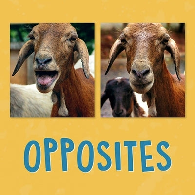 Opposites: English Edition by Knowles, Kathy