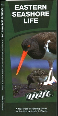 Eastern Seashore Life: A Waterproof Folding Guide to Familiar Animals & Plants by Kavanagh, James