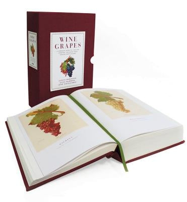 Wine Grapes: A James Beard Award Winner by Robinson, Jancis