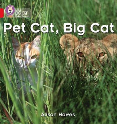 Pet Cat, Big Cat by Hawes, Alison
