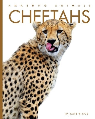 Cheetahs by Riggs, Kate