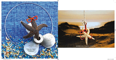 Seeing Stars: The Secret Life of Starfish by Adams, Denise