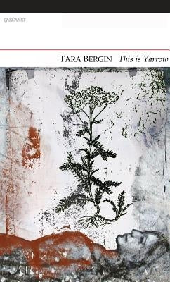 This Is Yarrow by Bergin, Tara