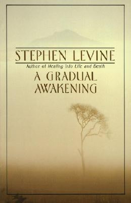 A Gradual Awakening by Levine, Stephen