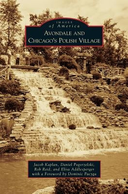 Avondale and Chicago's Polish Village by Kaplan, Jacob