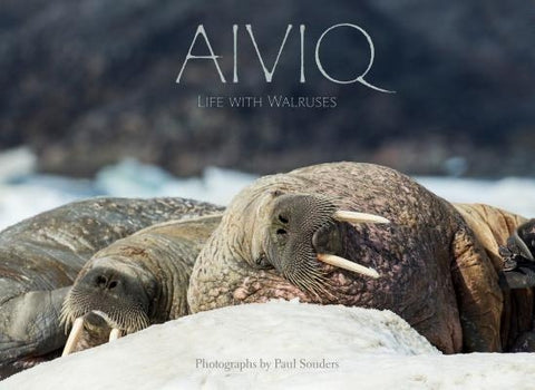 Aiviq: Life with Walruses by Souders, Paul