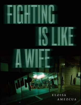 Fighting Is Like a Wife by Amezcua, Eloisa