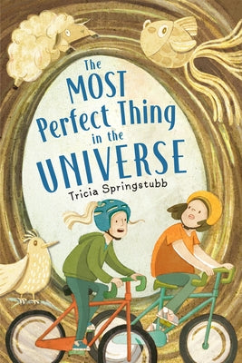 The Most Perfect Thing in the Universe by Springstubb, Tricia