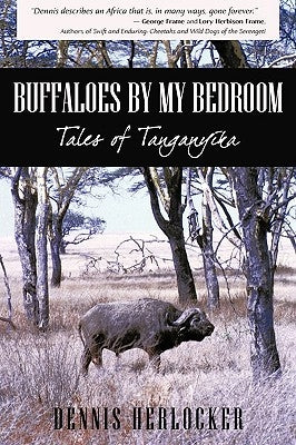 Buffaloes by My Bedroom by Herlocker, Dennis