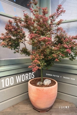 100 Words: Poems by Potter, Damon