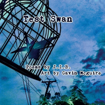 Test Swan by J. I. B.
