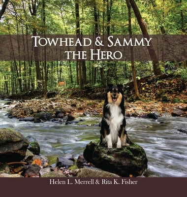Towhead and Sammy The Hero by Merrell, Helen L.