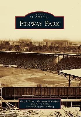 Fenway Park by Hickey, David