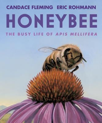 Honeybee: The Busy Life of APIs Mellifera by Fleming, Candace