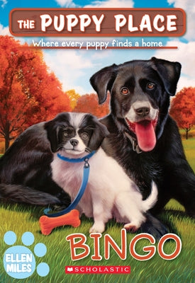 Bingo (the Puppy Place #65) by Miles, Ellen