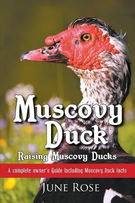 Muscovy Duck: Raising Muscovy Ducks by Rose, June