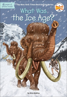 What Was the Ice Age? by Medina, Nico