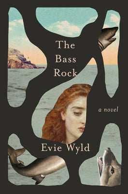 The Bass Rock by Wyld, Evie