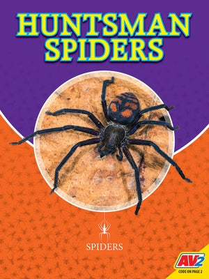Huntsman Spiders by Willis, John