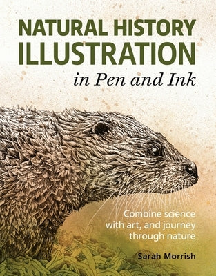 Natural History Illustration in Pen and Ink by Morrish, Sarah