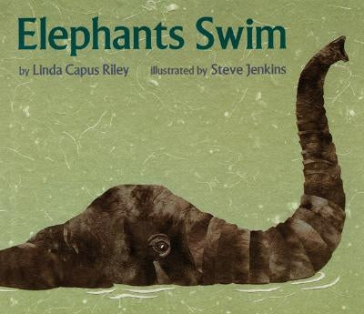 Elephants Swim by Jenkins, Steve