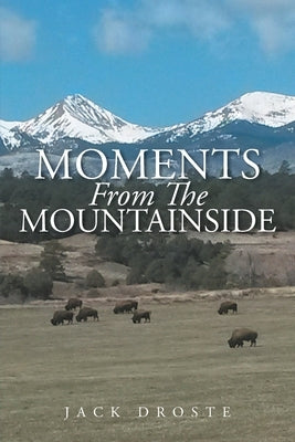 Moments From The Mountainside by Droste, Jack