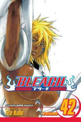 Bleach, Volume 42 by Kubo, Tite