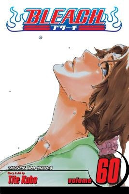 Bleach, Volume 60 by Kubo, Tite