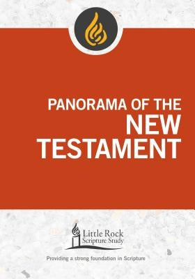 Panorama of the New Testament by Binz, Stephen J.