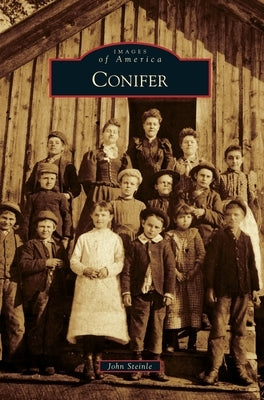 Conifer by Steinle, John