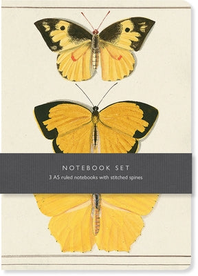 Butterfly Notebook Set: 3 A5 Ruled Notebooks with Stitched Spines by Bodleian Library