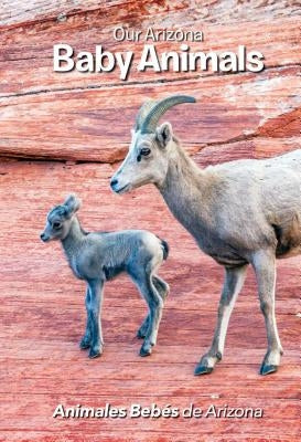 Our Arizona: Baby Animals by Conrad, Jerri