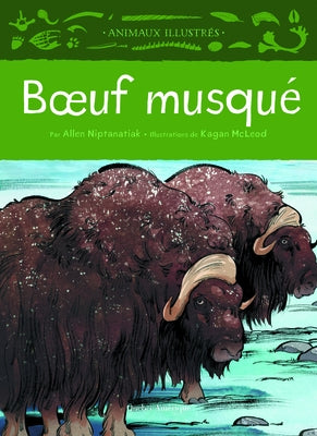 Boeuf Musqué by Niptanatiak, Allen