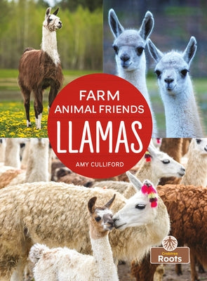 Llamas by Culliford, Amy