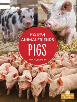 Pigs by Culliford, Amy