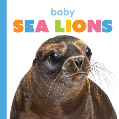 Baby Sea Lions by Riggs, Kate