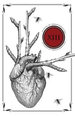 Thirteen: Stories of Transformation by Teppo, Mark