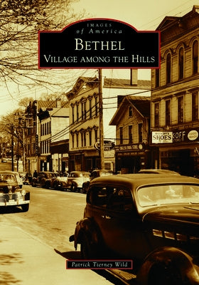 Bethel: Village Among the Hills by Wild, Patrick Tierney