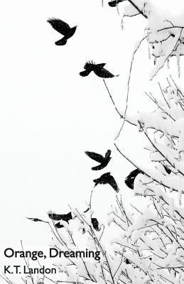Orange, Dreaming by Landon, K. T.
